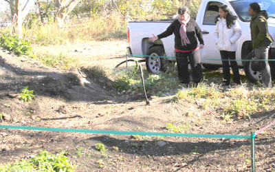 Compost Demonstration Site
