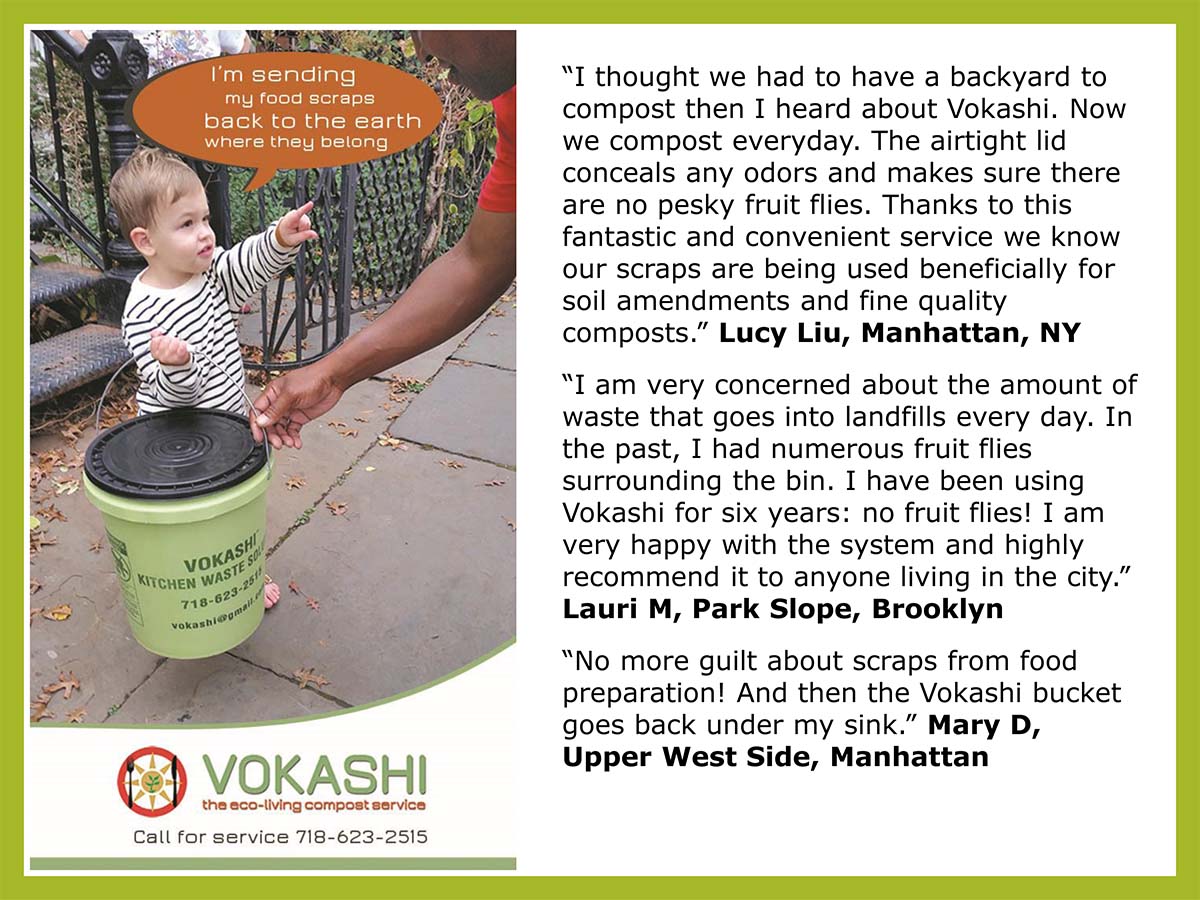Lucy Liu Uses the Vokashi Service in Her NYC Home Lucy Liu Uses the Vokashi Service in Her NYC Home