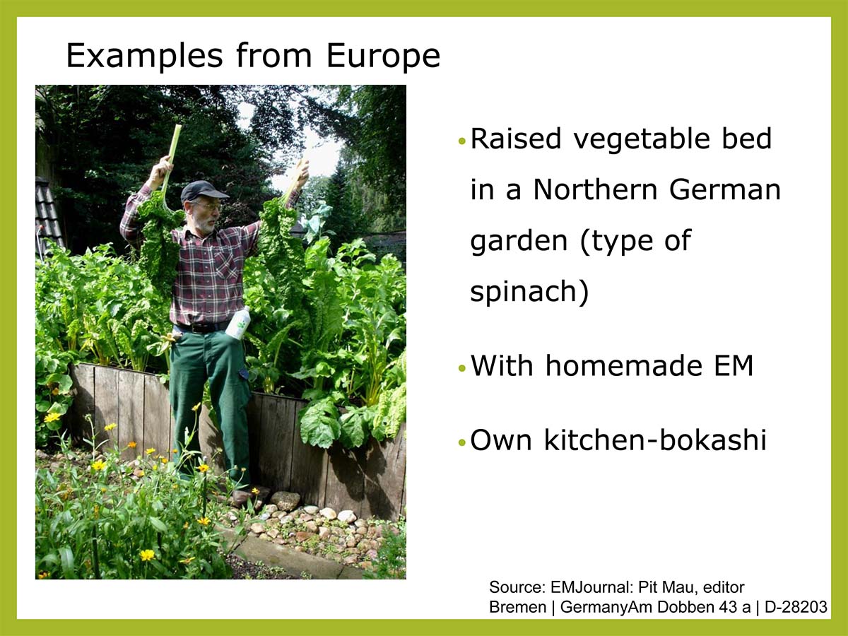 Homemade EM Example in European Home Garden Homemade EM Example in European Home Garden