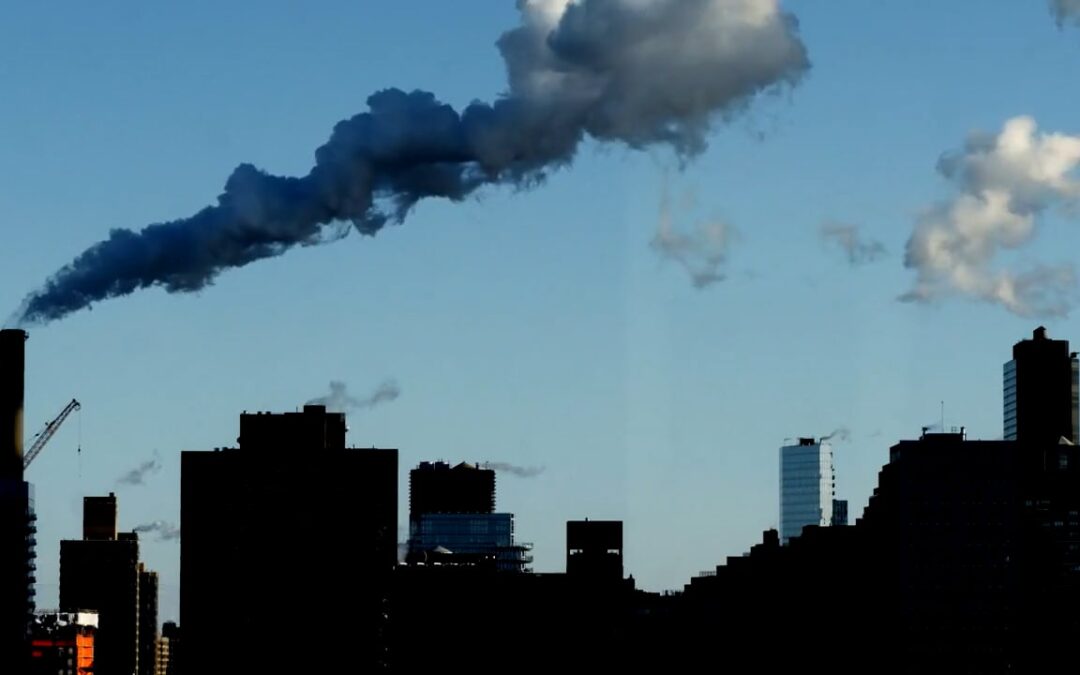 The Greying of New York City, Not the Greening!